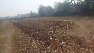Plot Area in  Plot at Tanko – for Sale