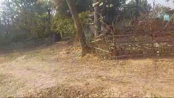 Plot Area in  Plot at Tanko – for Sale