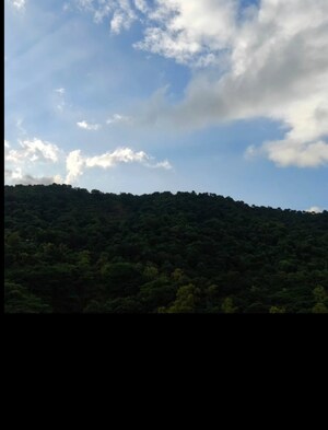 2 BHK Apartment For Sale in Kalpataru Hills, Manpada