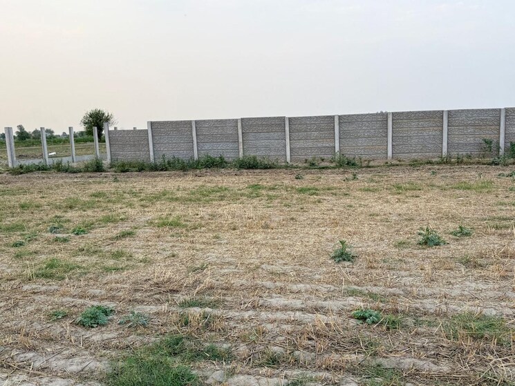 undefined, noida central Commercial Land 4000 Sq.Yd. In Noida Central Noida 9099854