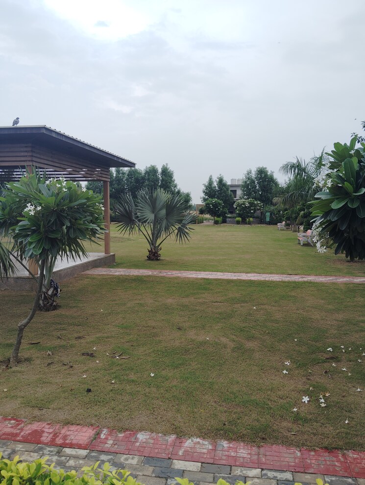 Garden, soha-neal-city  126 Sq.Yd. Plot In Sector 98 Faridabad 9099912