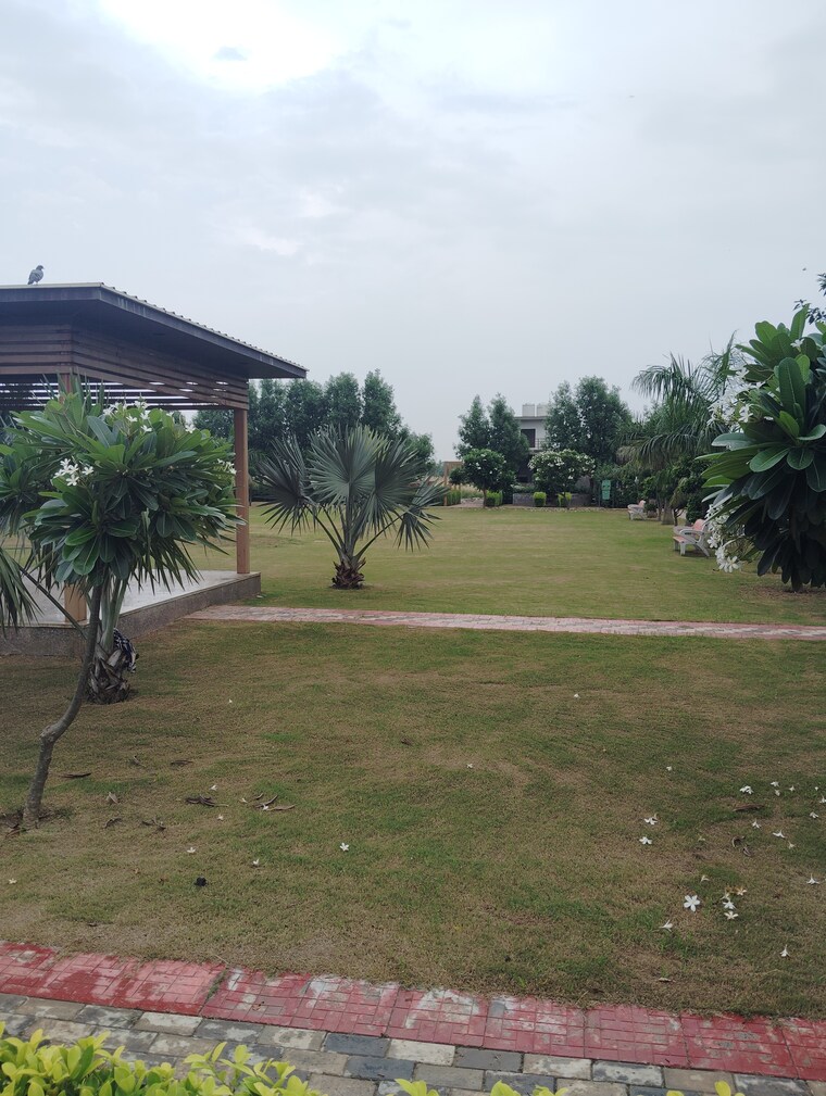 Garden, soha-neal-city  126 Sq.Yd. Plot In Sector 98 Faridabad 9099912