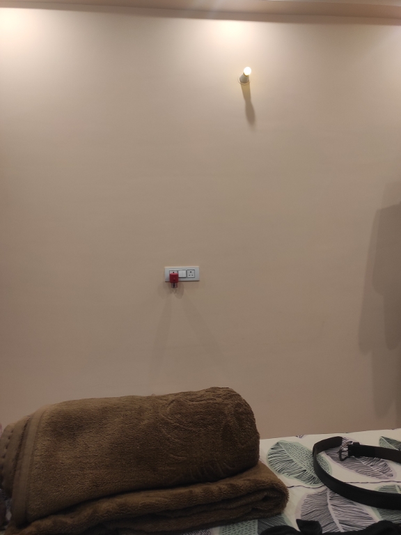 3 BHK Builder Floor For Rent in Van Vihar 