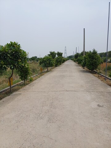  Plot For Sale in Jewar