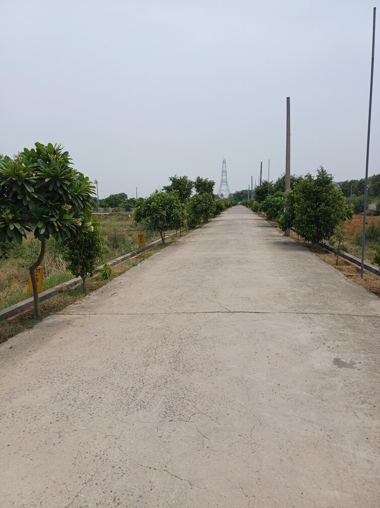 Cover Image, jewar  400 Sq.Yd. Plot In Jewar Greater Noida 9100105