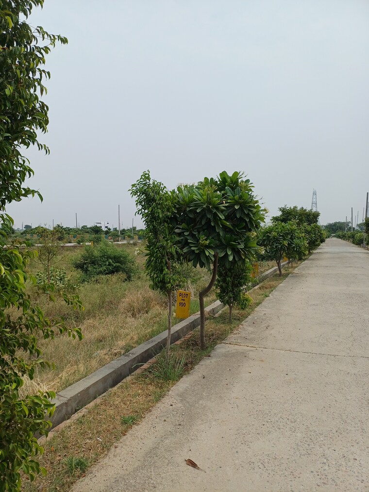 Garden, jewar  400 Sq.Yd. Plot In Jewar Greater Noida 9100105