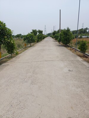  Plot – Exterior View View at Jewar - for Sale