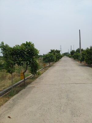  Plot – Garden View at Jewar - for Sale