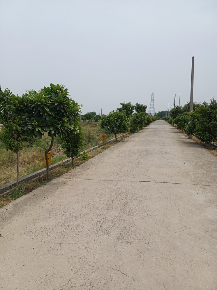 Exterior View, jewar  400 Sq.Yd. Plot In Jewar Greater Noida 9100105