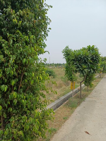  Plot For Sale in Jewar