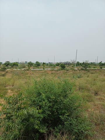  Plot – Garden View at Jewar - for Sale