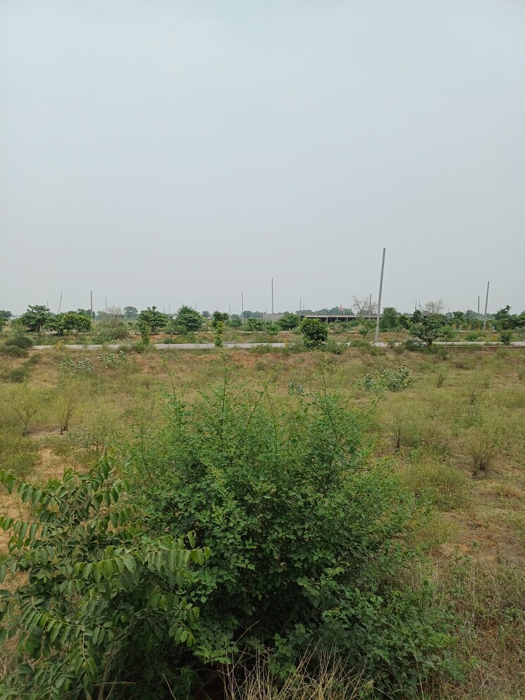 Garden, jewar  401 Sq.Yd. Plot In Jewar Greater Noida 9100115