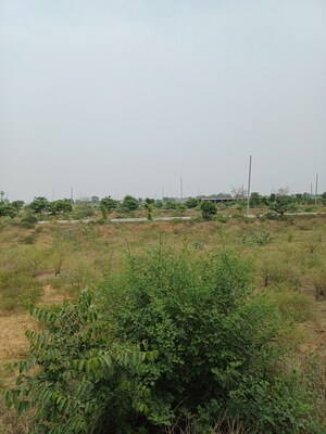  Plot – Garden View at Jewar - for Sale