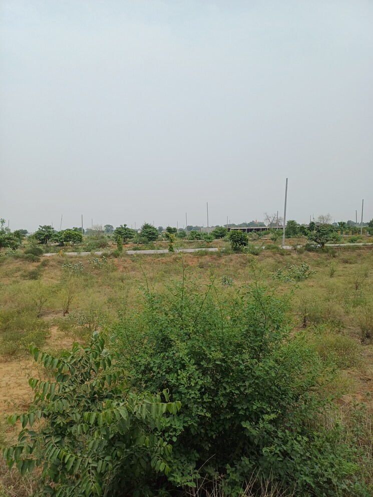 Garden, jewar  401 Sq.Yd. Plot In Jewar Greater Noida 9100115