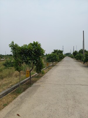  Plot For Sale in Jewar