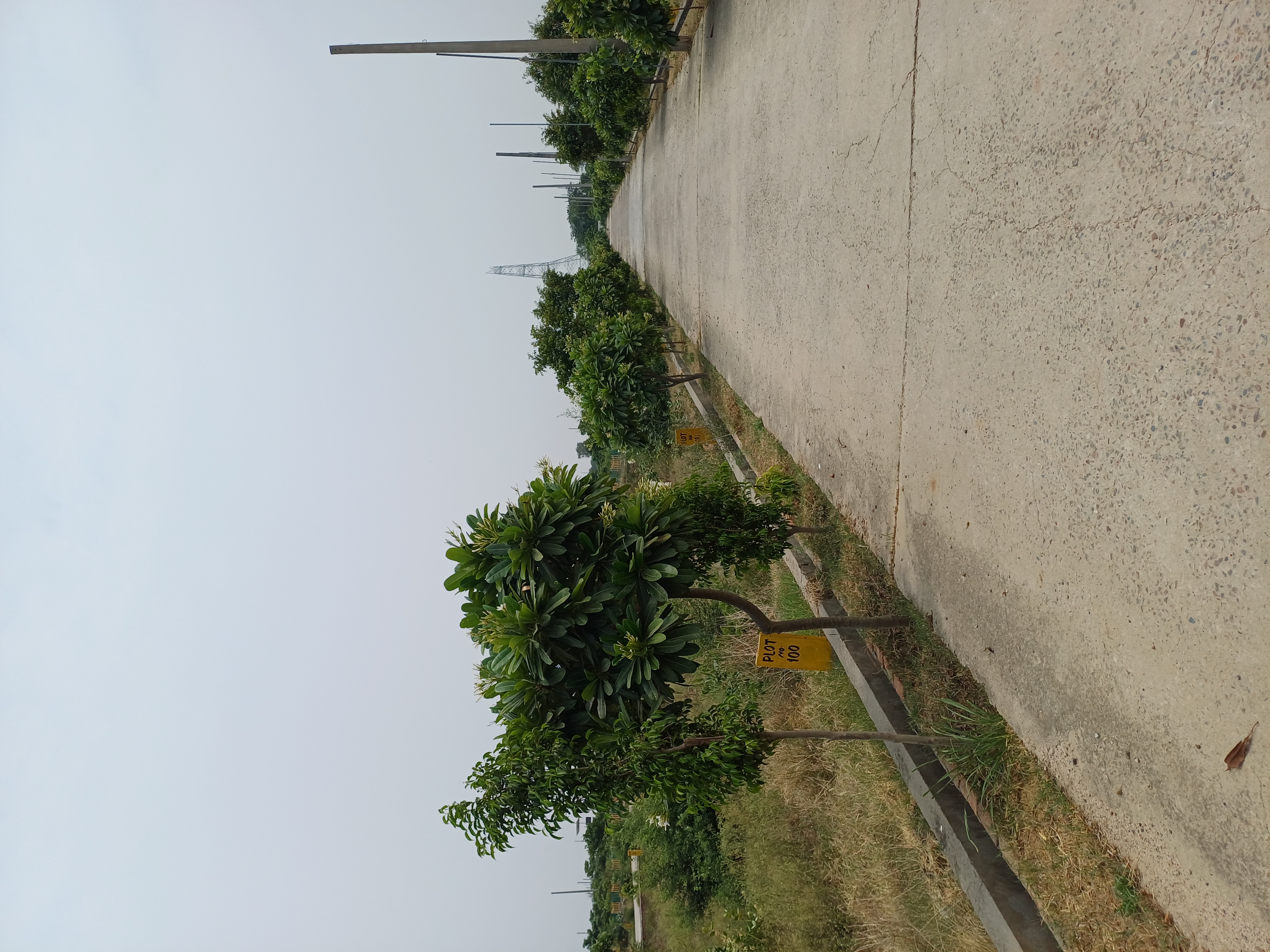 Plot For Sale in Harit City 