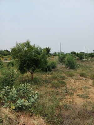  Plot – Garden View at Jewar - for Sale
