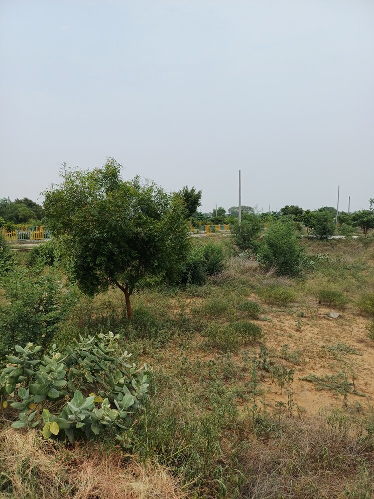 Garden, jewar  402 Sq.Yd. Plot In Jewar Greater Noida 9100126