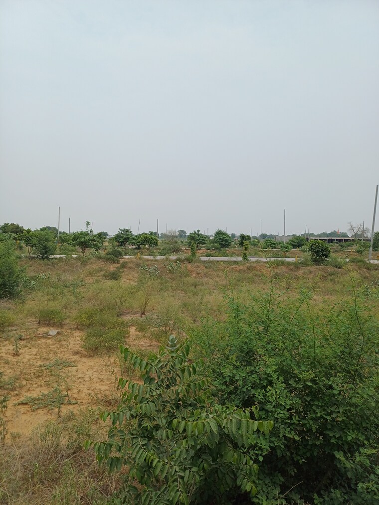 Garden, jewar  402 Sq.Yd. Plot In Jewar Greater Noida 9100126