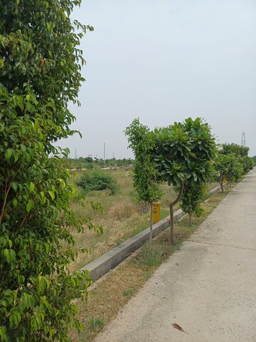  Plot – Garden View at Jewar - for Sale