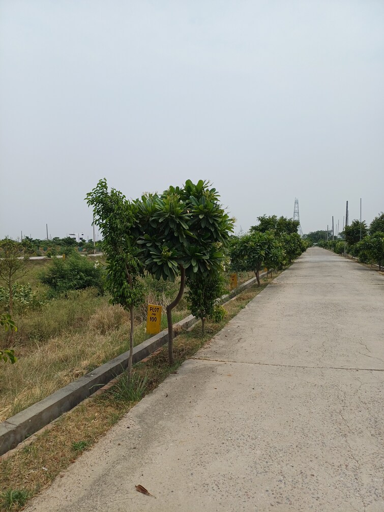 Cover Image, jewar  403 Sq.Yd. Plot In Jewar Greater Noida 9100136