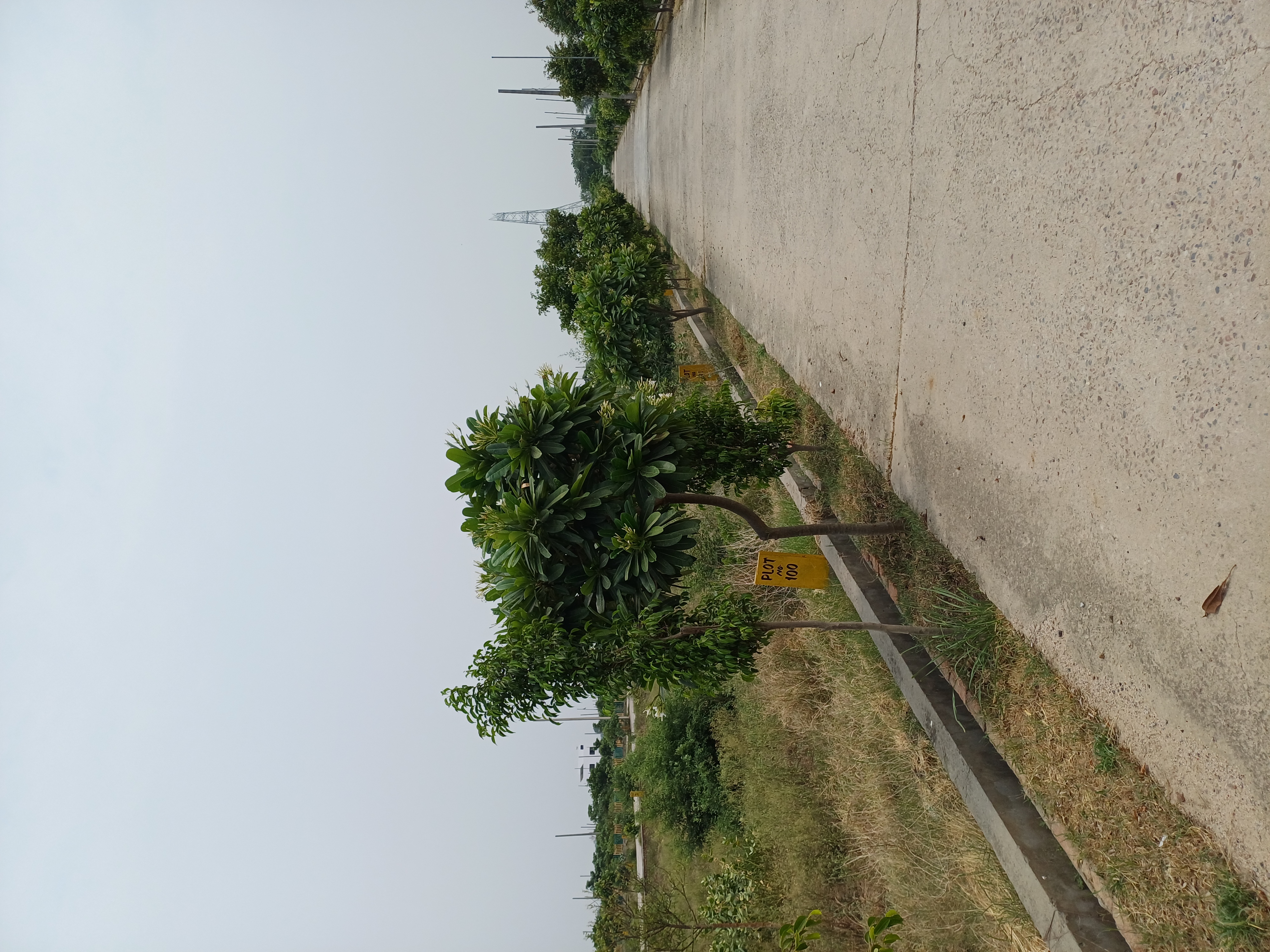 Plot For Sale in Harit City 