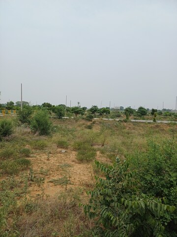  Plot – Garden View at Jewar - for Sale