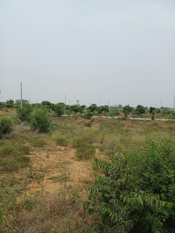 Garden, jewar  403 Sq.Yd. Plot In Jewar Greater Noida 9100136