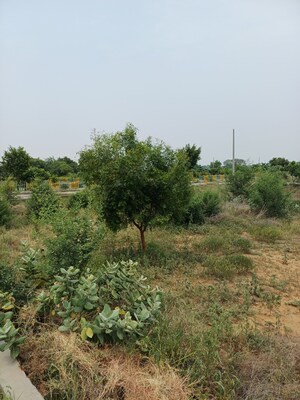  Plot – Garden View at Jewar - for Sale