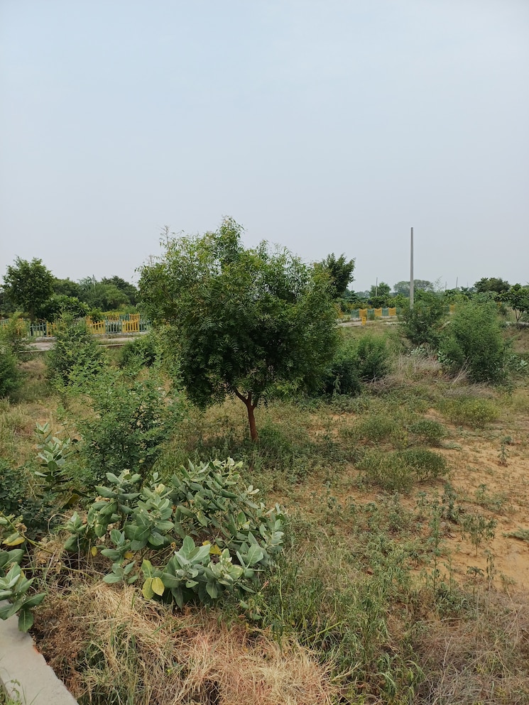 Garden, jewar  403 Sq.Yd. Plot In Jewar Greater Noida 9100136