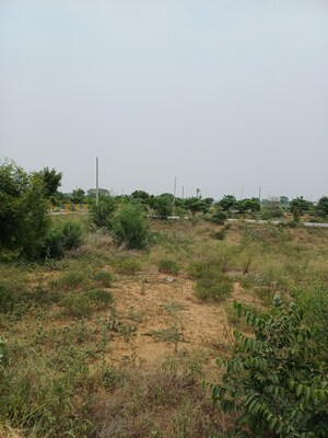  Plot – Garden View at Jewar - for Sale