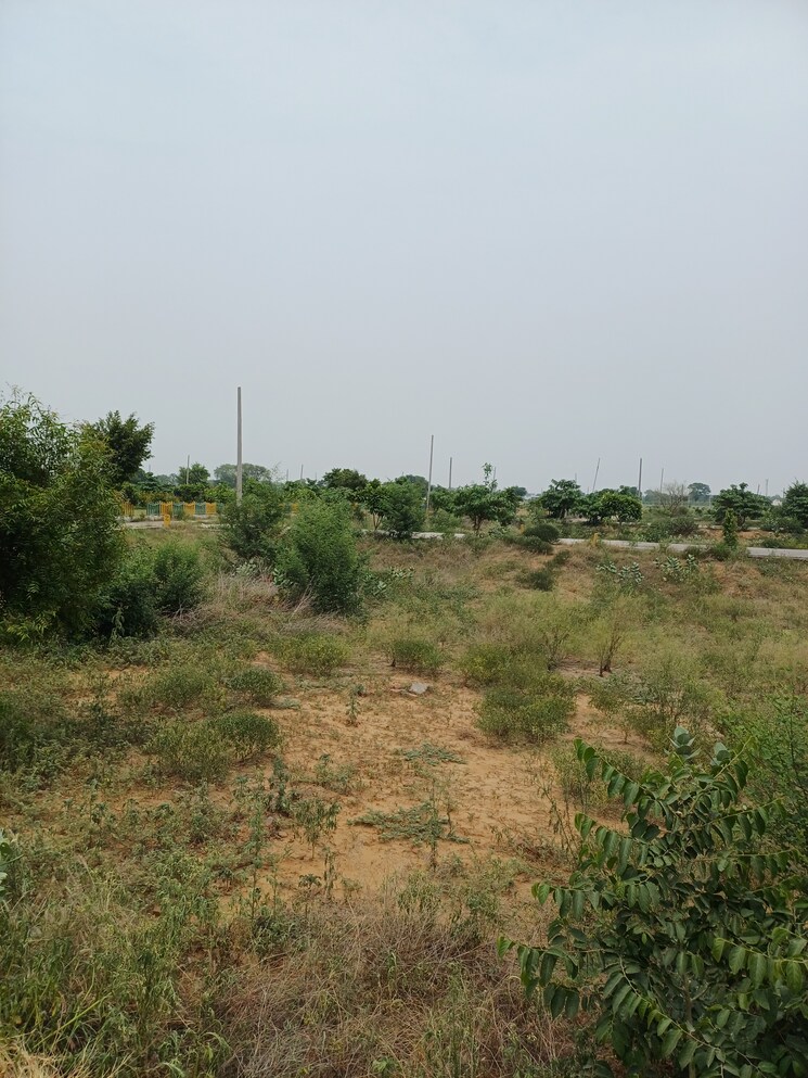 Garden, jewar  404 Sq.Yd. Plot In Jewar Greater Noida 9100140