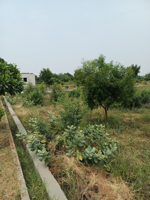  Plot For Sale in Jewar