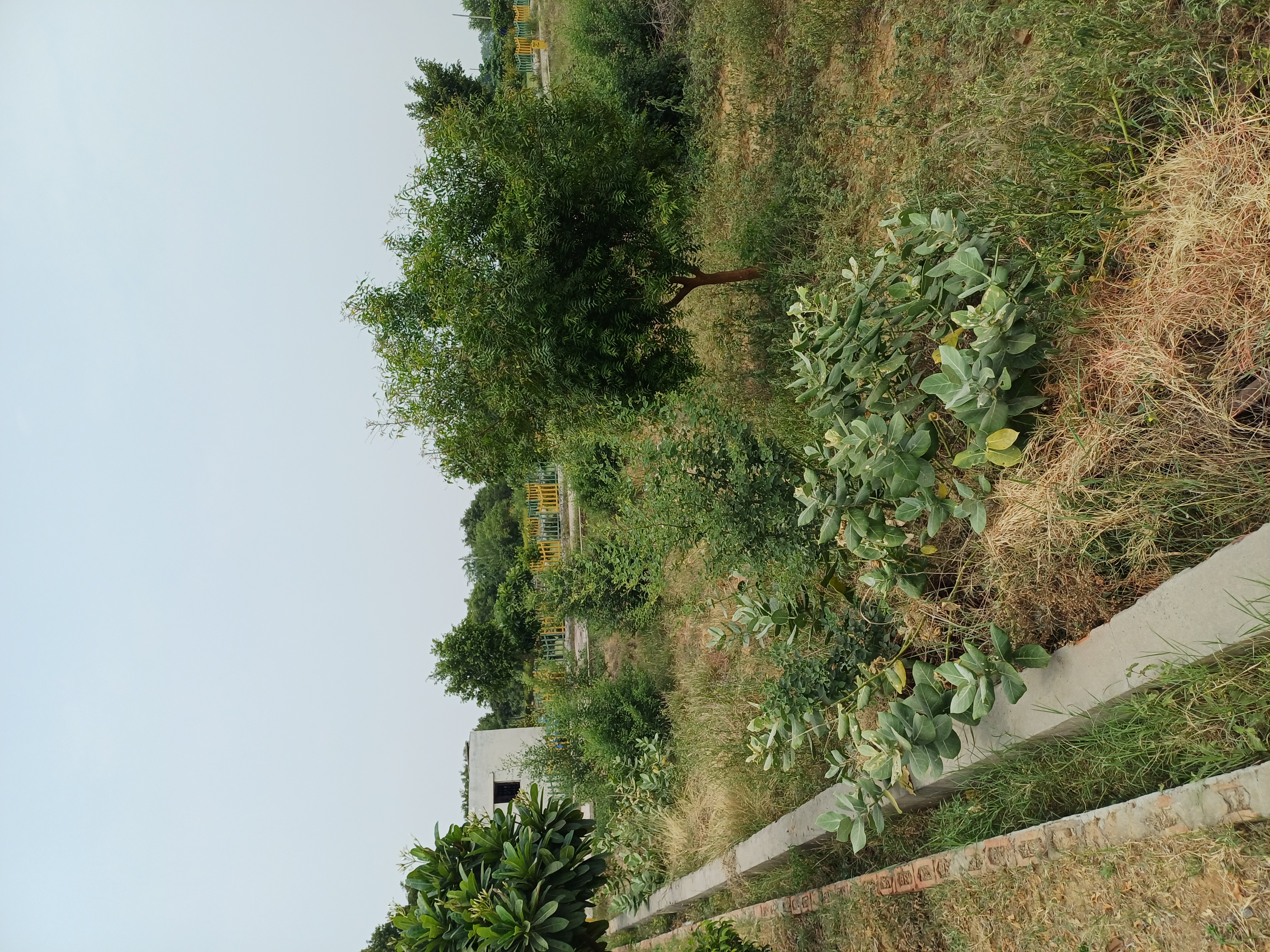 Plot For Sale in Harit City 