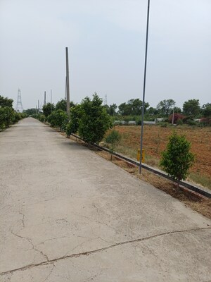  Plot – Exterior View View at Jewar - for Sale