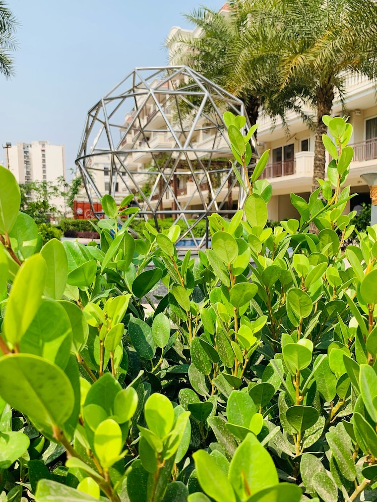 Exterior View, ambala highway 3 Bedroom 1750 Sq.Ft. Apartment In Ambala Highway Chandigarh 9100266