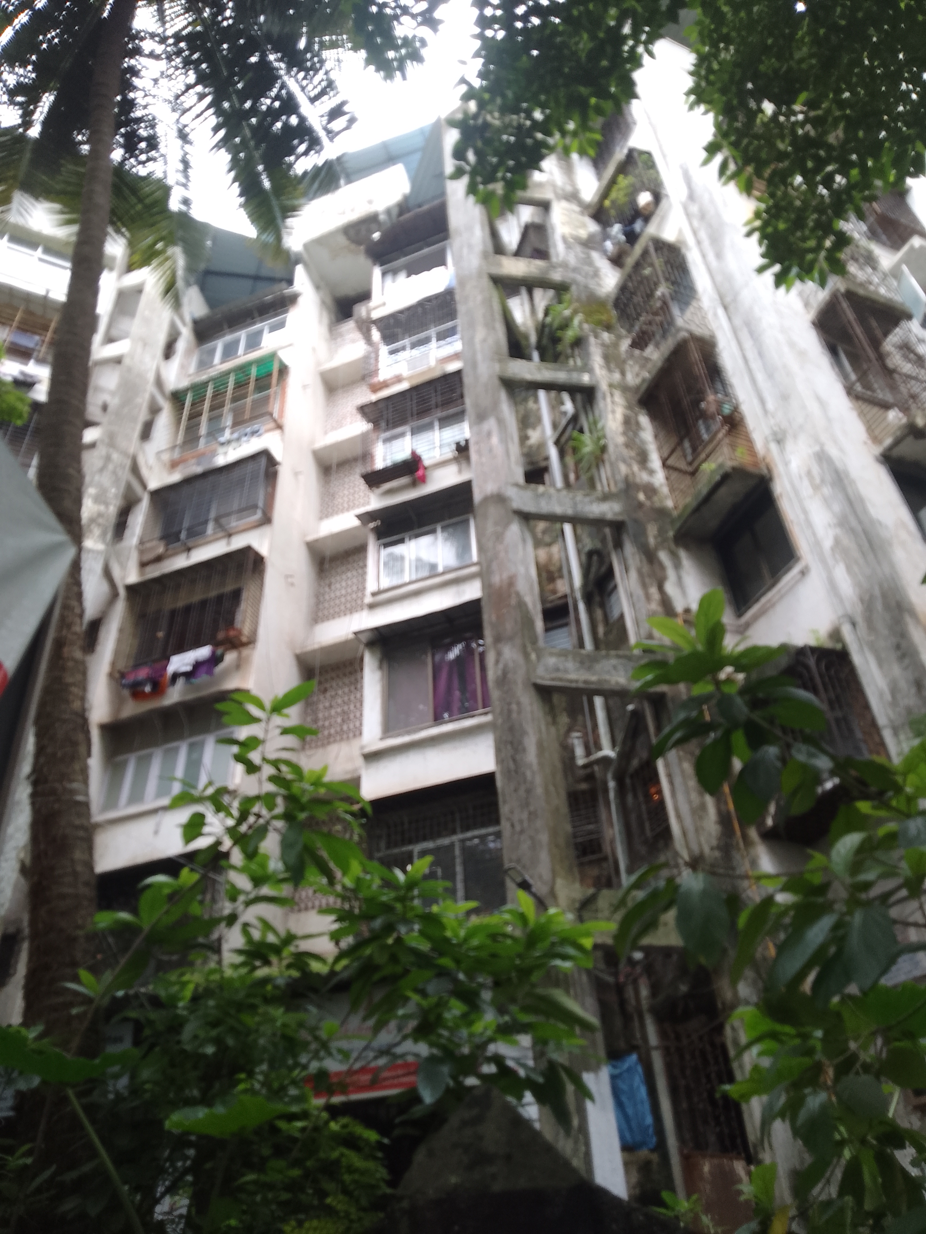 1 BHK Apartment For Rent in High Rise Apartments