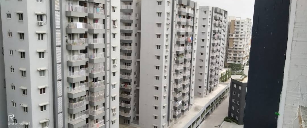 2 BHK Apartment For Rent in Jains Carlton Creek