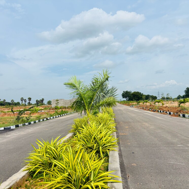 Garden, jb-nature-valley  261 Sq.Yd. Plot In Kothulapuram Hyderabad 9100678