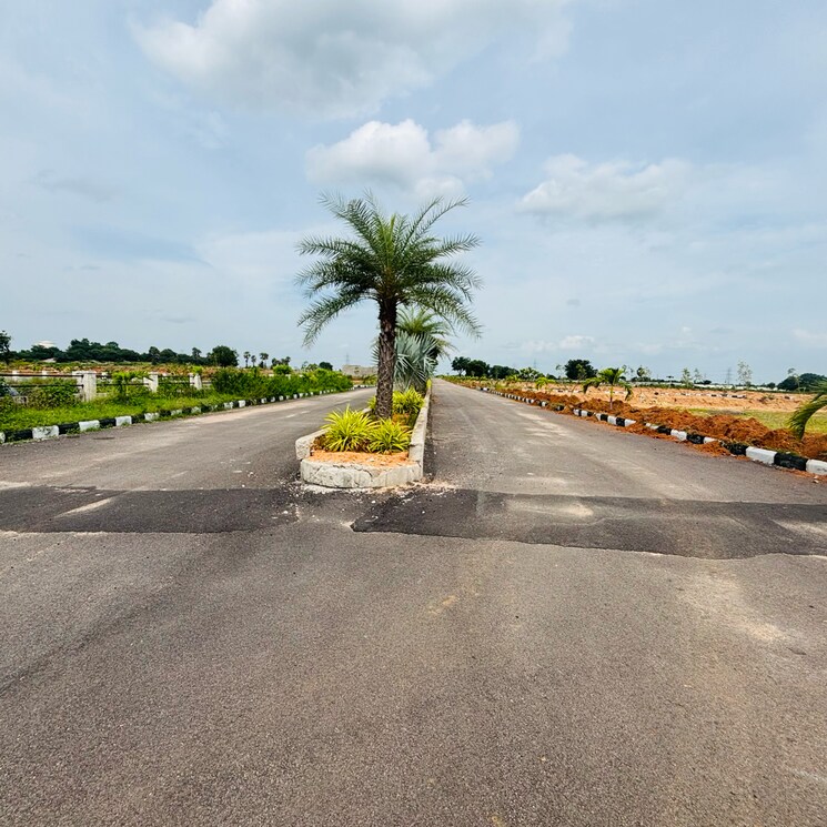 Garden, jb-nature-valley  262 Sq.Yd. Plot In Kothulapuram Hyderabad 9100680