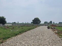 Plot For Sale in Rohta Road