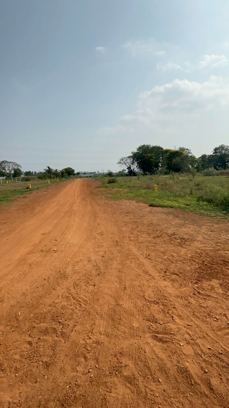 undefined, kunchanapalli  203 Sq.Yd. Plot In Kunchanapalli Vijayawada 9100748