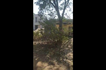 Plot Area in  Plot at Kathartoli – for Sale