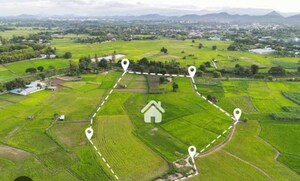   Plot at Sector 43 – for Sale