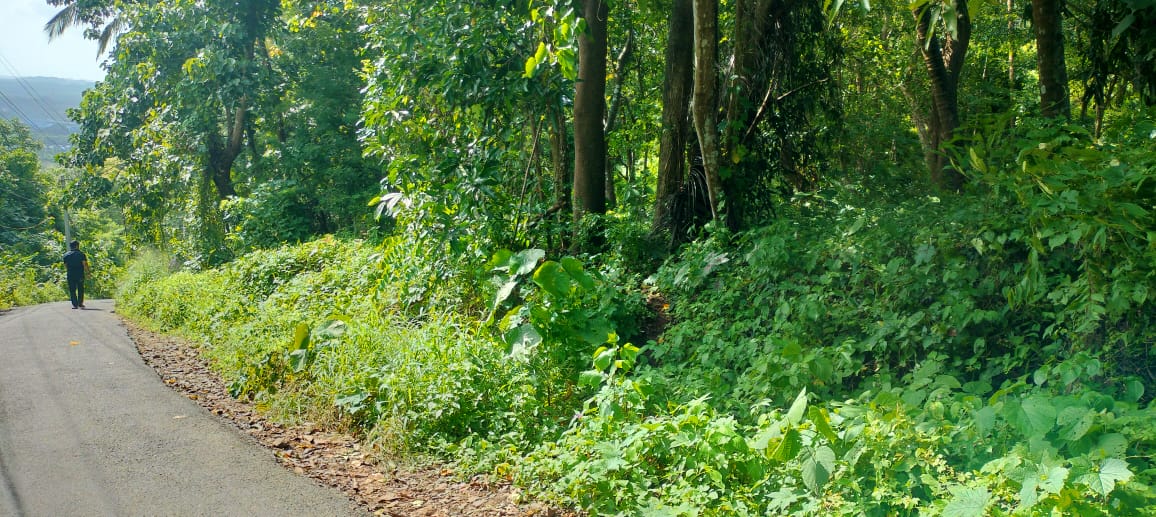 Plot For Sale in Athani