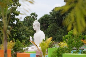  Plot For Sale in Bhogapuram