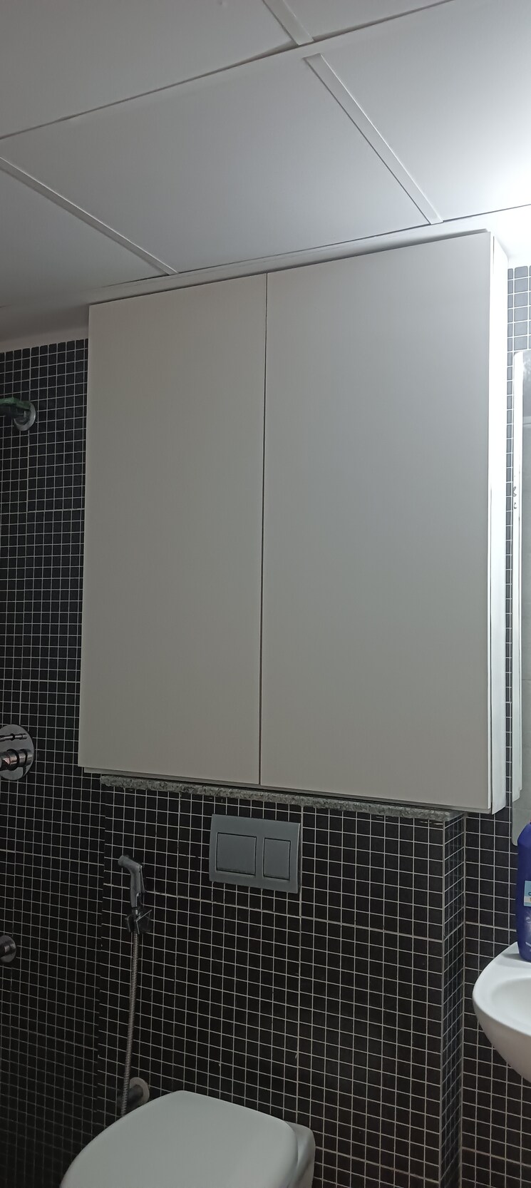 Attached Bathroom, dombivli east 2 Bedroom 565 Sq.Ft. Apartment In Dombivli East Thane 9101173