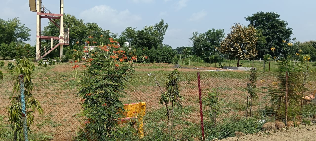 Plot For Sale in Barela