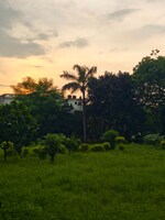 1743 Sq.Yd. Plot in Eldeco Towne