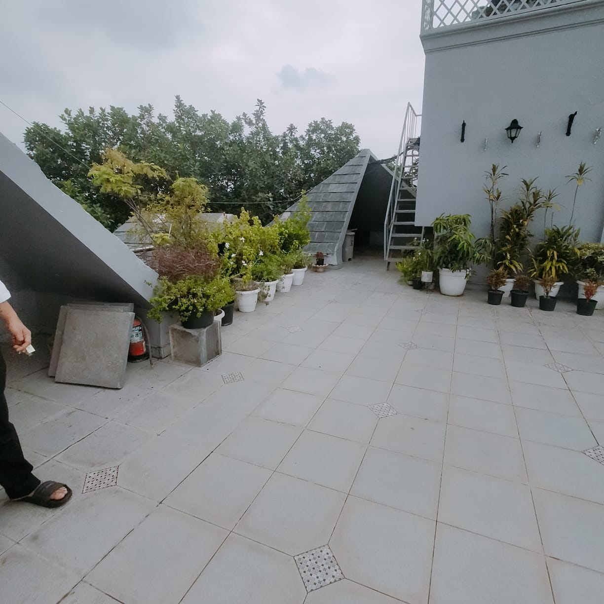 5 BHK + Pooja Room,Servant Room,Study Room Builder Floor For Sale in Pancheel Park 